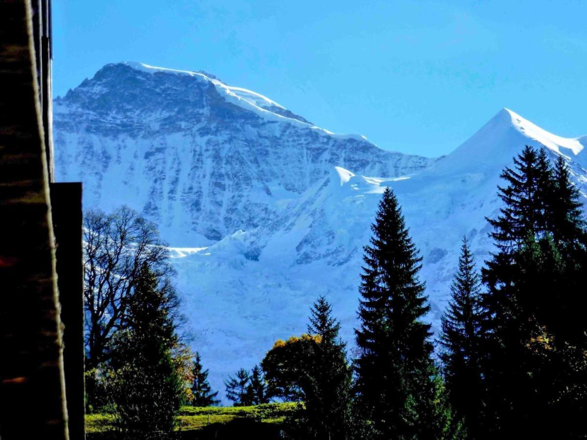 Apartment Breithorn-Residence-3 By Interhome Wengen Bagian luar foto